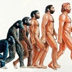 Depiction of evolution