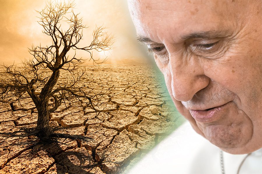 pope francis global warming