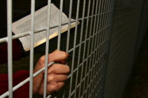 prisoners reading bible behind bars