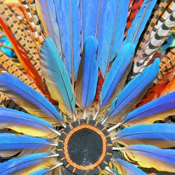 Aztec Dancers Allege Religious Discrimination After Tribal Feathers Seized at Border