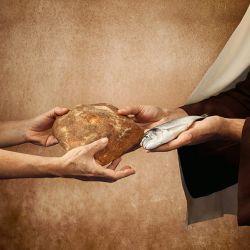 The Greater Meaning of Manna, Bread, and Fish