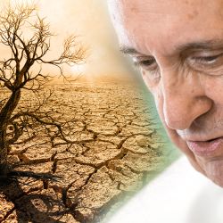 Pope Francis: Denying Climate Change Is an "Ecological Sin"