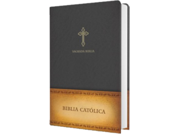 Holy Bible - Spanish