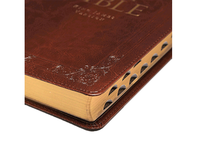 Holy Bible KJV Gift Edition 3