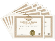 Certificate of Baptism 10 Certificates