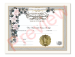 Certificate of Commitment of Marriage 1 Certificate