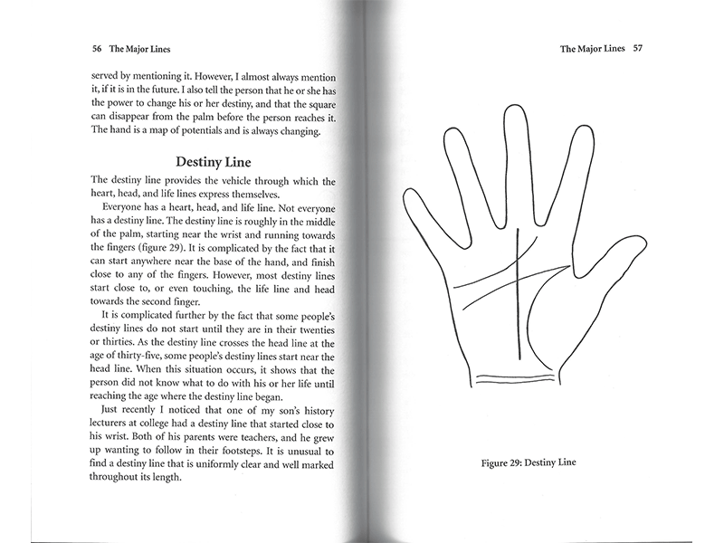 Palm Reading for Beginners page