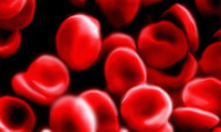 blood cells ready for transfusion