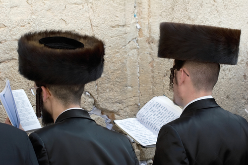 Traditional Fur Hats Violate Animal Rights, Rabbi Says