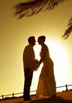Perform a Wedding Ceremony
