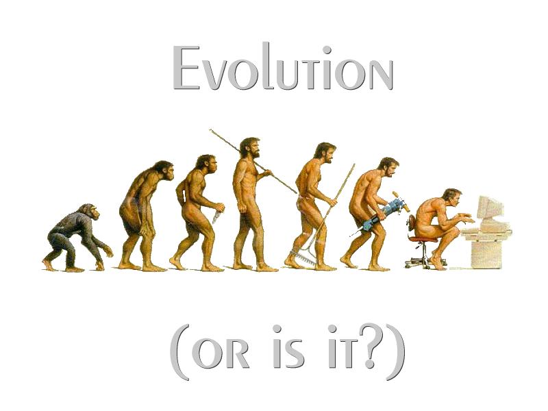 comical depiction of evolution from ape to modern man