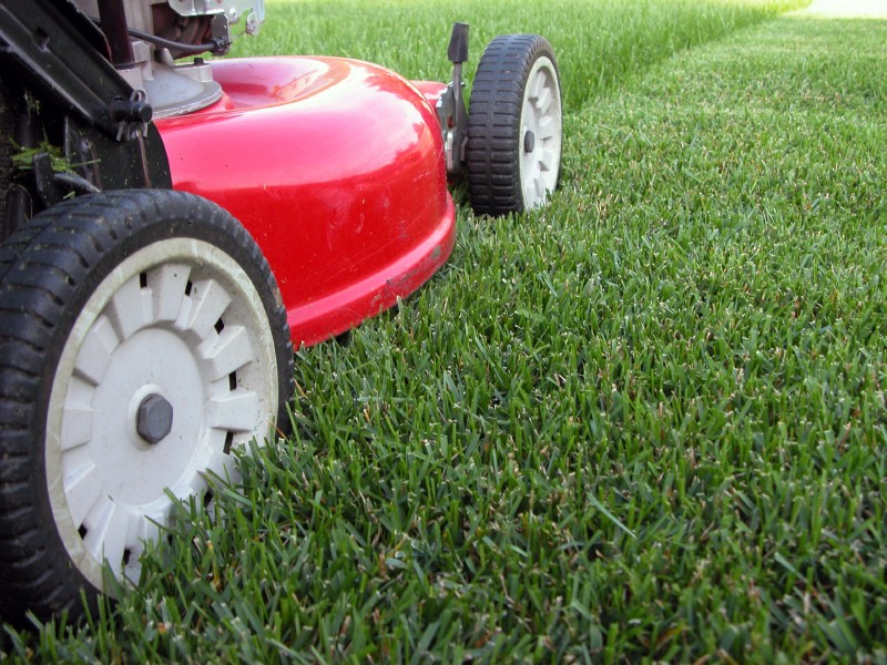 lawnmower mowing grass