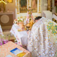 Meet the "Orthobros" – Young Men are Flocking to Orthodox Churches