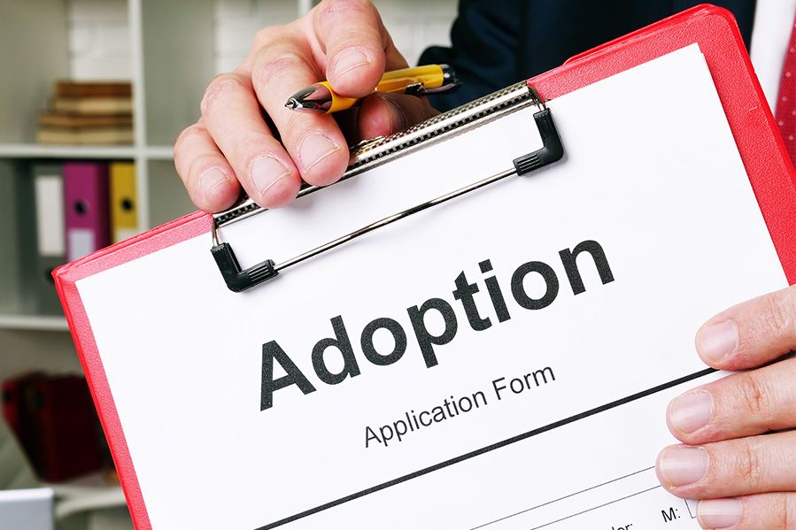 person holding adoption application form