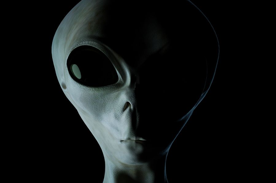 gray alien face partially obscured by shadow