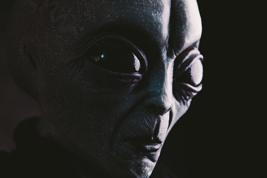 face of an alien
