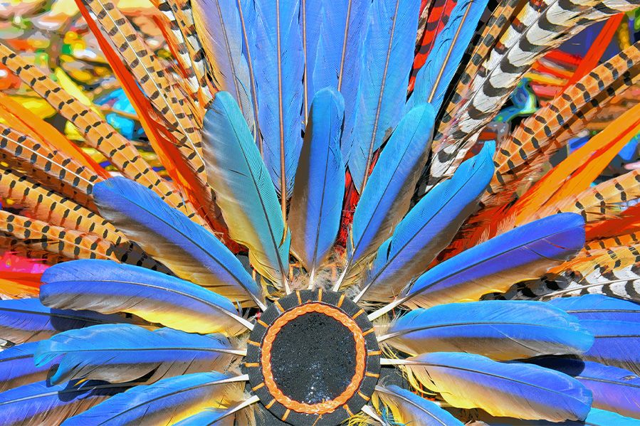 brightly colored feathers in aztec headdress