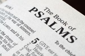 Bible Book of Psalms Universal Life Church, Bible