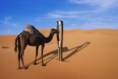 A camel confronts the eye of a needle in the desert.
