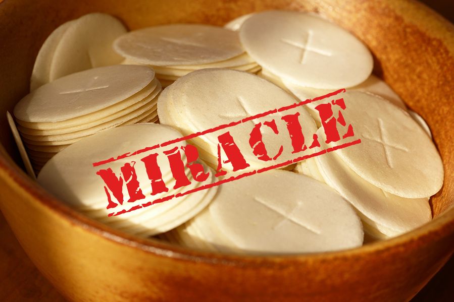 Communion wafers with miracle stamped on top