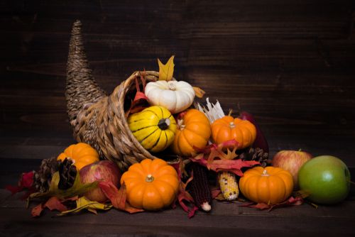 cornucopia with fall bounty