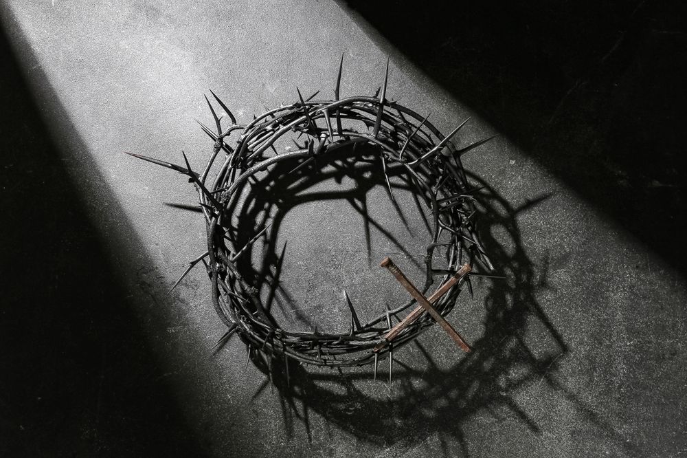 A crown of thorns in shadow