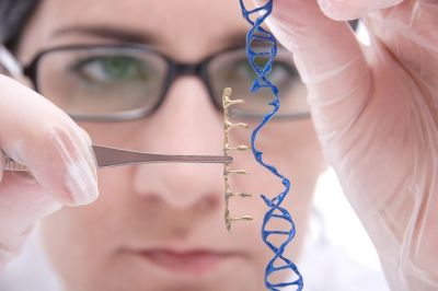 A scientist editing a strand of DNA
