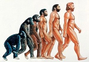 Depiction of evolution of man