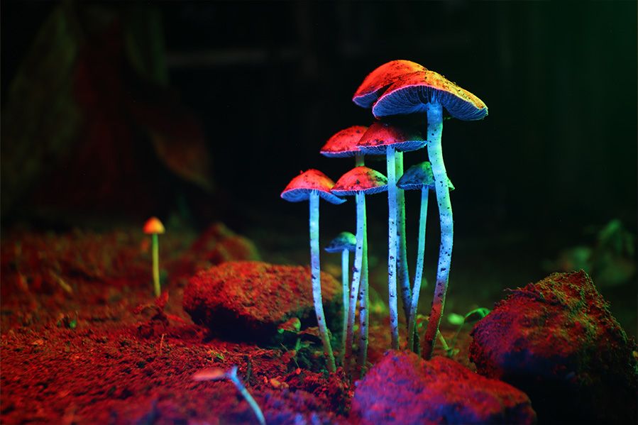 Colorful