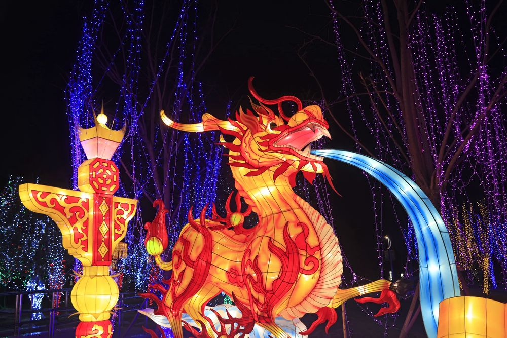 A dragon shaped lantern