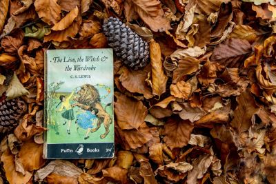 A copy of The Lion, The Witch, and the Wardrobe on a pile of fallen leaves.