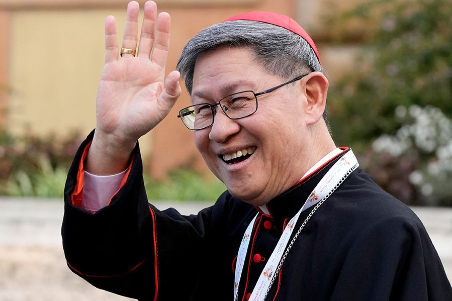 cardinal peter erdo
