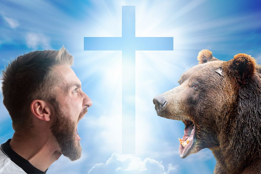 depiction of man vs bear debate