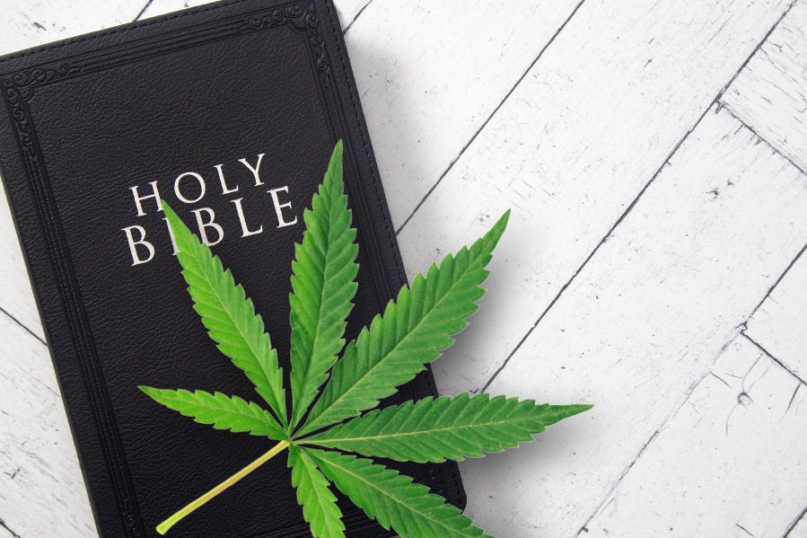 Marijuana leaf on bible