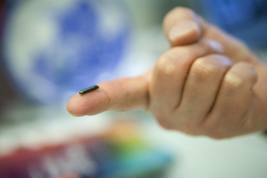 Microchips may be the I.D. system of the future.