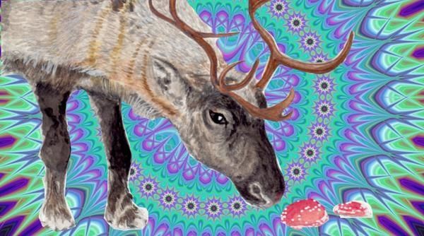 Reindeer eating a magic mushroom