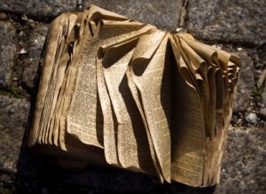 old worn out bible on street