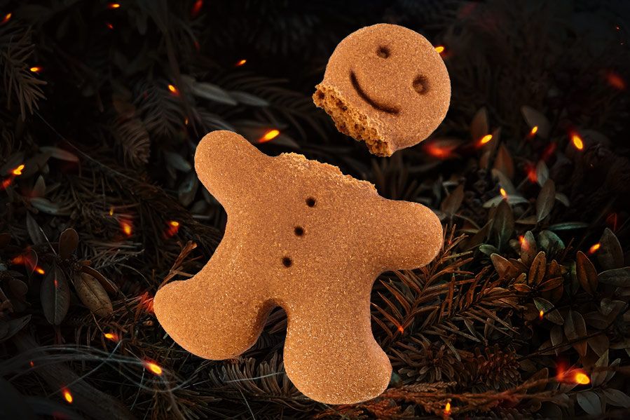 gingerbread man with head removed in front of dark woodland background