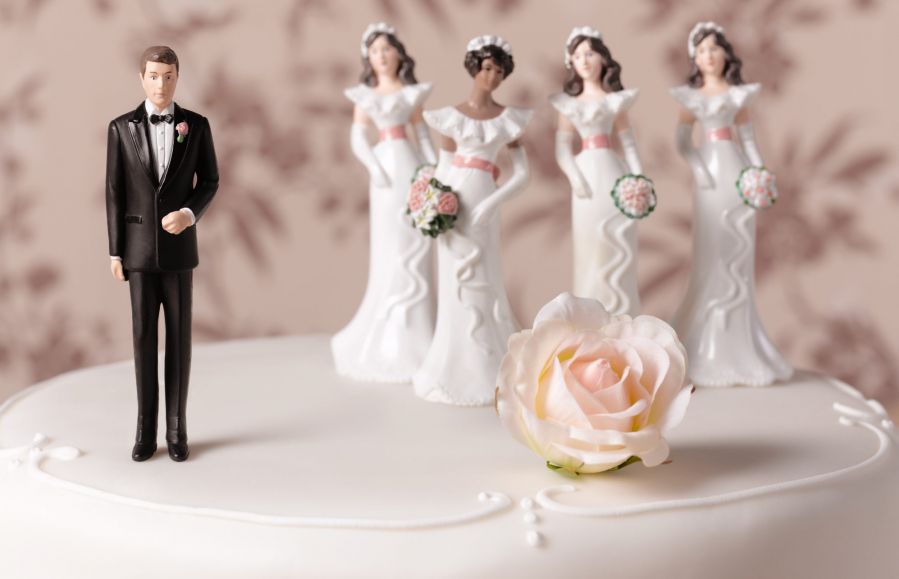 Polygamy wedding cake