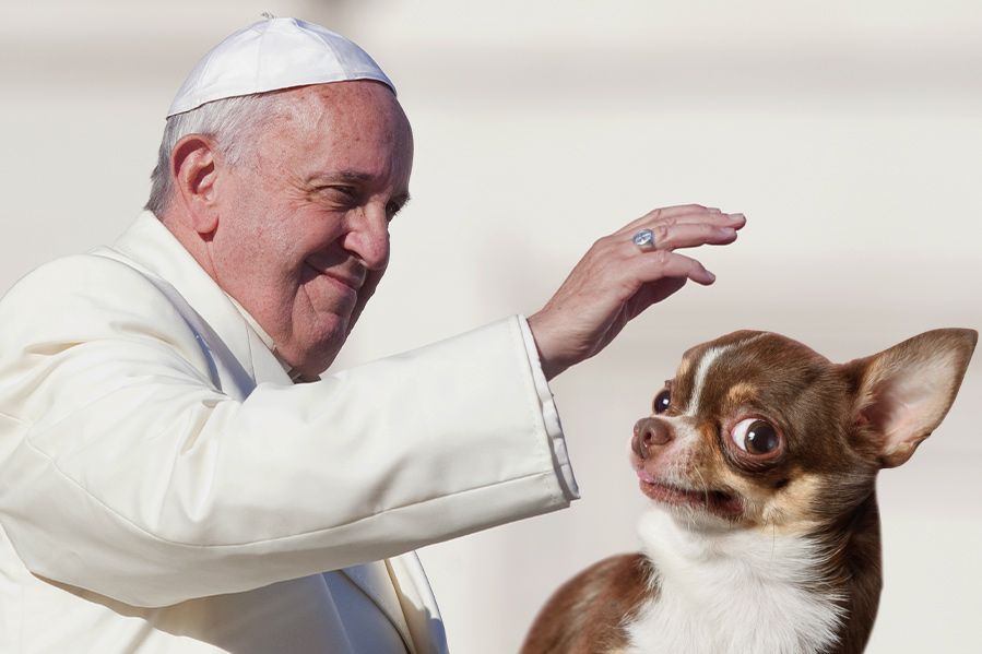 Pope Francis and a dog