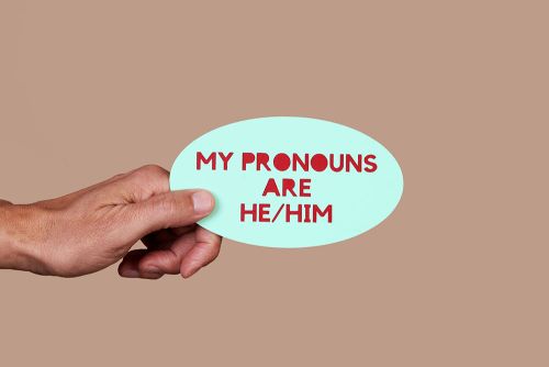 A hand holds a blue placard reading "My pronouns are he/him" in red lettering.