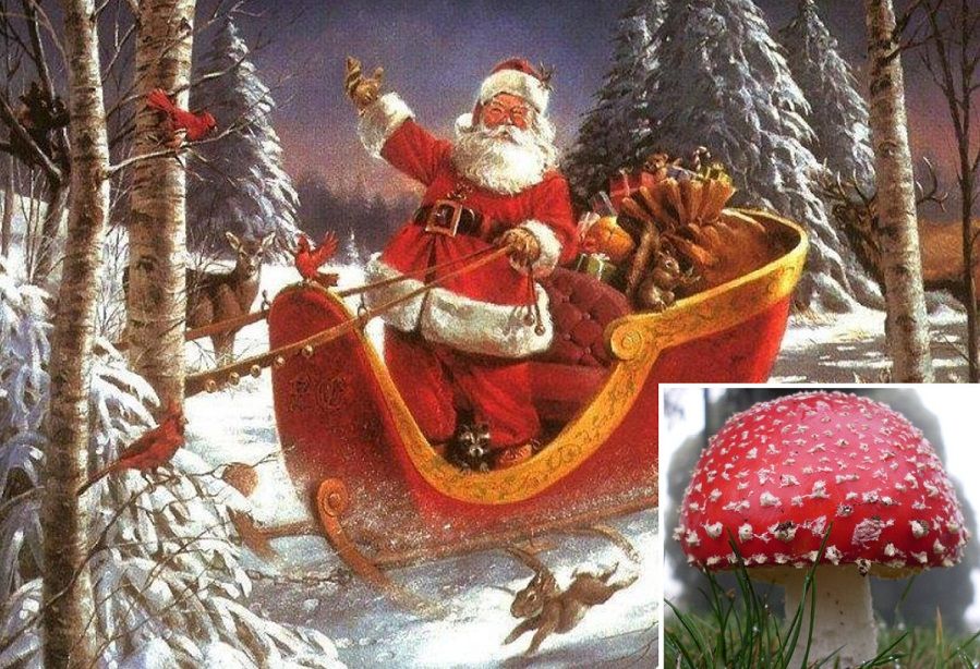 Santa Claus on sleigh with magic mushrooms