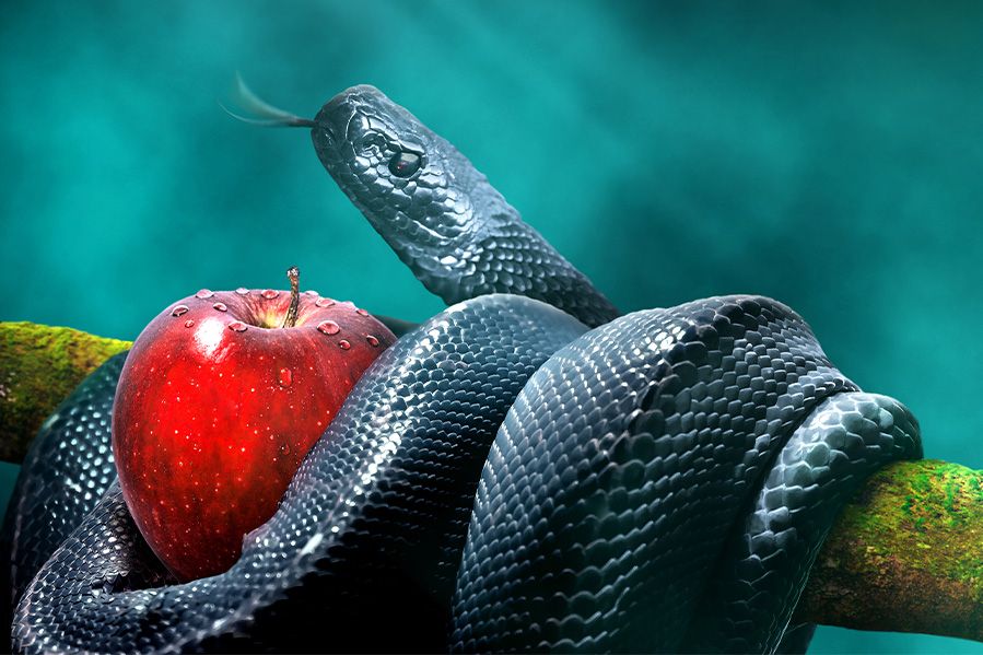 Serpent wrapped around tree with apple in garden of eden