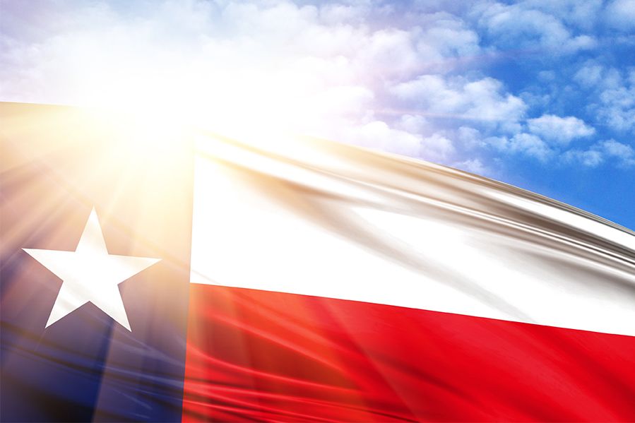 sun reflecting through texas flag
