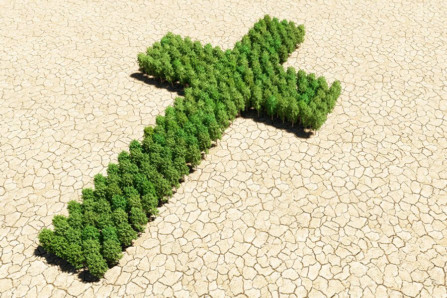 depiction of climate change, trees in the shape of a cross surrounded by desert