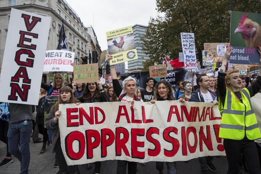 Vegans protesting