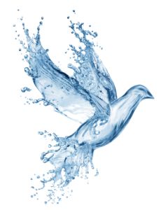dove made of water