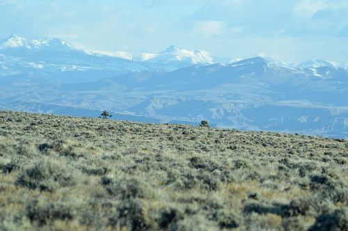 Wind River Range rising beyond the sagebrush landscape of Wyoming's Wind River Indian Reservation.