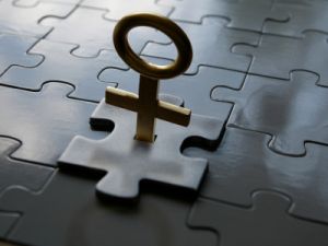 women's symbol sticking out of puzzle piece, depiction of women's rights
