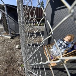 Caged Jesus: Church Nativity Scene Sets Off Fiery Debate